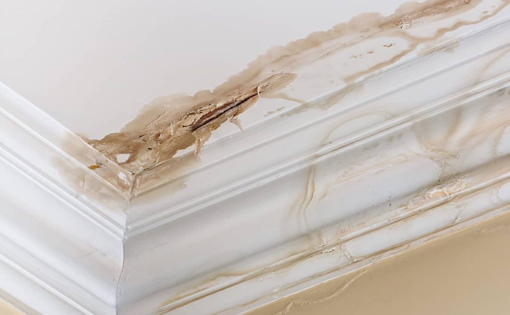 Peinture après dégâts des eaux sur la Côte d’Azur